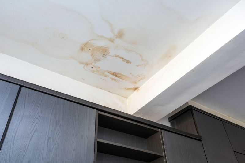 Attic Water Damage Repair in Charleston, SC