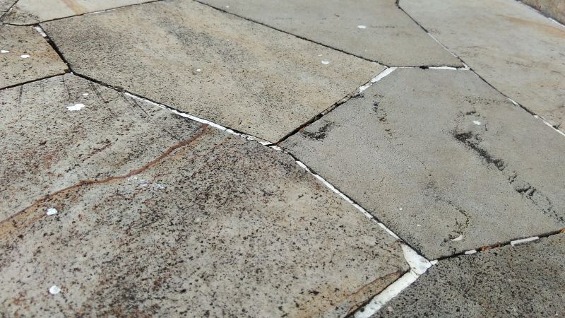 Bathroom Floor Replacement in Santa Rosa, CA