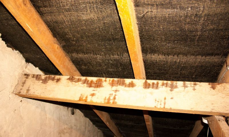 Building Damage Repair in Santa Rosa, CA