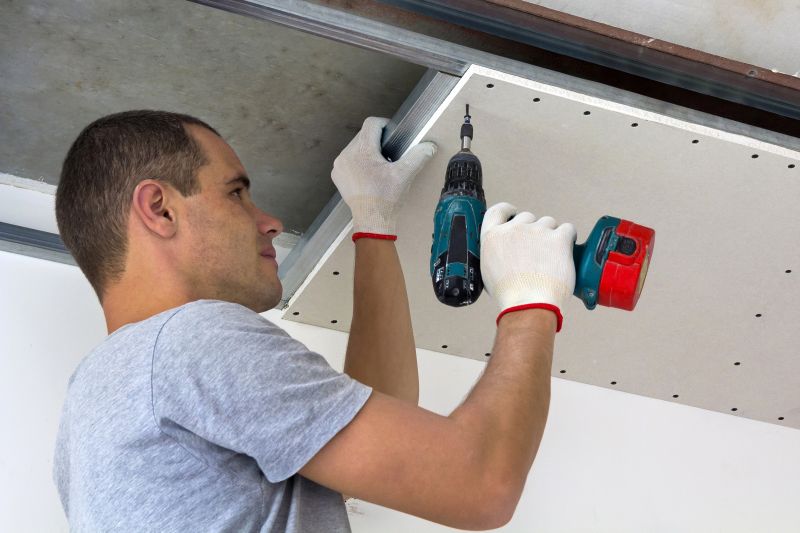 Ceiling Removal Service in Santa Rosa, CA