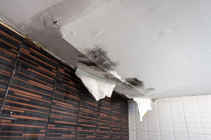 Leaking Ceiling Repair in Littleton, CO
